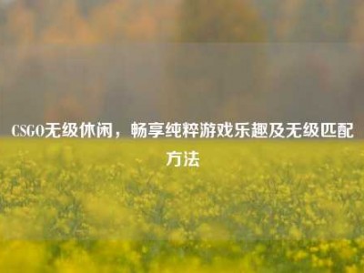 CSGO无级休闲，畅享纯粹游戏乐趣及无级匹配方法