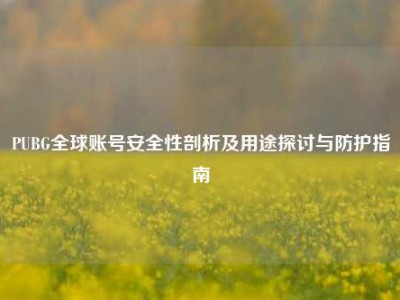 PUBG全球账号安全性剖析及用途探讨与防护指南