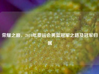 荣耀之巅，2014年亚运会男篮冠军之路及冠军归属