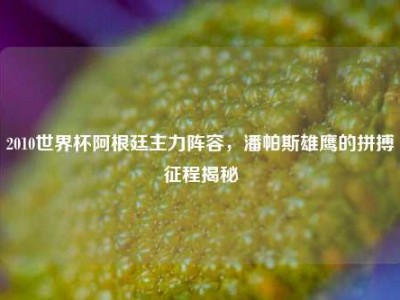 2010世界杯阿根廷主力阵容，潘帕斯雄鹰的拼搏征程揭秘