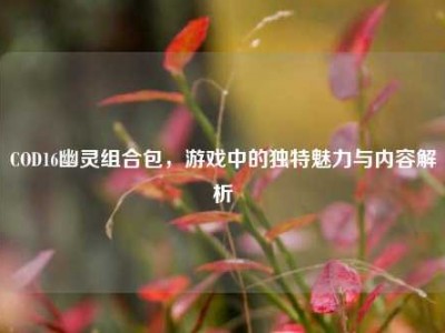 COD16幽灵组合包，游戏中的独特魅力与内容解析