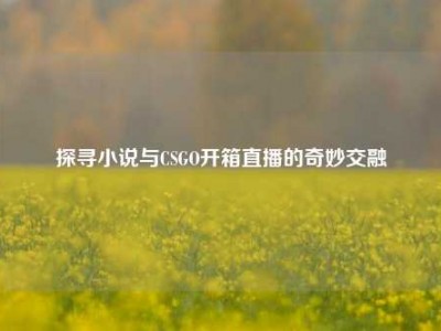 探寻小说与CSGO开箱直播的奇妙交融