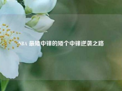 NBA 最矮中锋的矮个中锋逆袭之路
