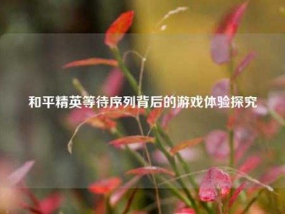 和平精英等待序列背后的游戏体验探究