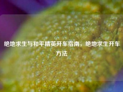绝地求生与和平精英开车指南，绝地求生开车方法