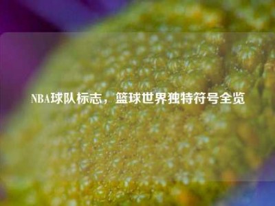 NBA球队标志，篮球世界独特符号全览