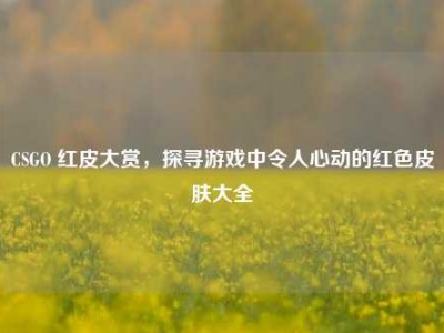 CSGO 红皮大赏，探寻游戏中令人心动的红色皮肤大全