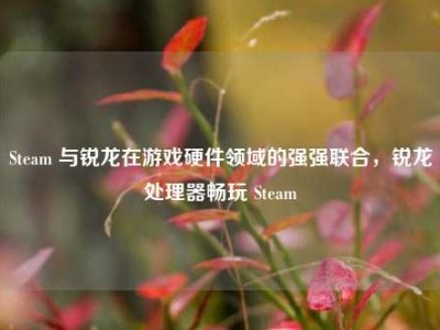 Steam 与锐龙在游戏硬件领域的强强联合，锐龙处理器畅玩 Steam