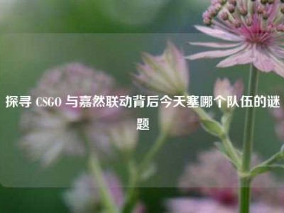 探寻 CSGO 与嘉然联动背后今天塞哪个队伍的谜题