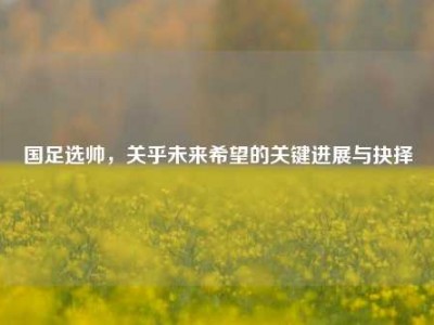 国足选帅，关乎未来希望的关键进展与抉择