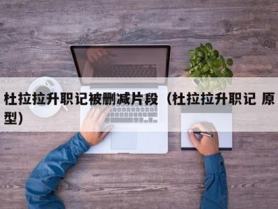 杜拉拉升职记被删减片段（杜拉拉升职记 原型）
