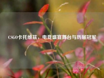 CSGO卡托维兹，电竞盛宴舞台与历届冠军