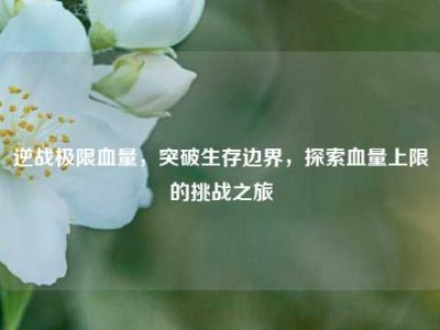 逆战极限血量，突破生存边界，探索血量上限的挑战之旅