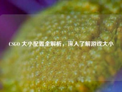 CSGO 大小配置全解析，深入了解游戏大小