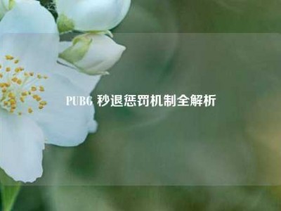PUBG 秒退惩罚机制全解析