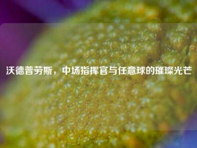 沃德普劳斯，中场指挥官与任意球的璀璨光芒
