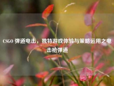 CSGO 弹道电击，独特游戏体验与策略运用之电击枪弹道