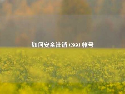 如何安全注销 CSGO 帐号
