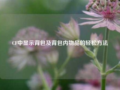 CF中显示背包及背包内物品的轻松方法
