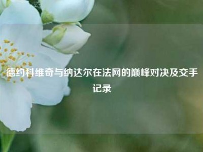 德约科维奇与纳达尔在法网的巅峰对决及交手记录