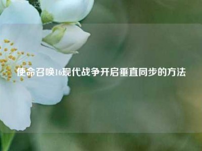 使命召唤16现代战争开启垂直同步的方法