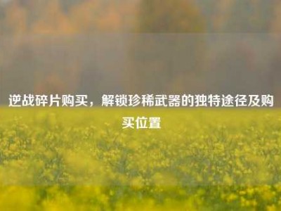 逆战碎片购买，解锁珍稀武器的独特途径及购买位置
