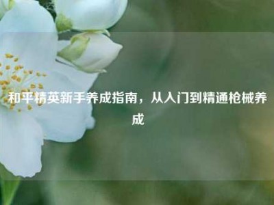 和平精英新手养成指南，从入门到精通枪械养成