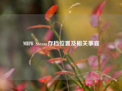 MHW Steam存档位置及相关事宜
