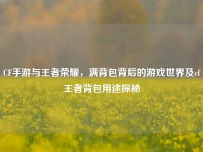 CF手游与王者荣耀，满背包背后的游戏世界及cf王者背包用途探秘