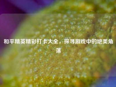 和平精英精彩打卡大全，探寻游戏中的绝美角落