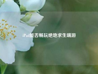 iPad能否畅玩绝地求生端游