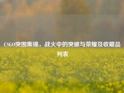 CSGO突围集锦，战火中的突破与荣耀及收藏品列表