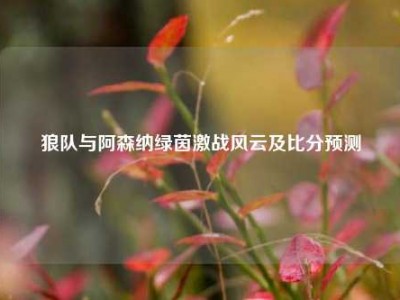 狼队与阿森纳绿茵激战风云及比分预测