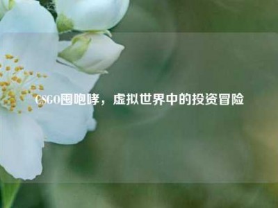 CSGO囤咆哮，虚拟世界中的投资冒险