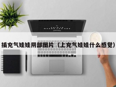 插充气娃娃阴部图片（上充气娃娃什么感觉）