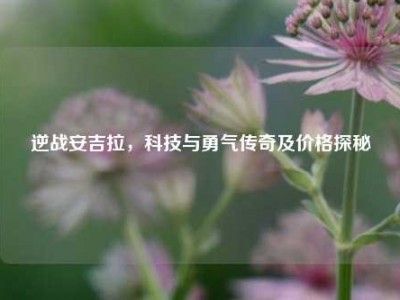 逆战安吉拉，科技与勇气传奇及价格探秘