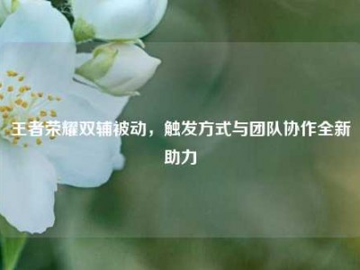 王者荣耀双辅被动，触发方式与团队协作全新助力