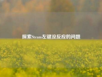 探索Steam左键没反应的问题