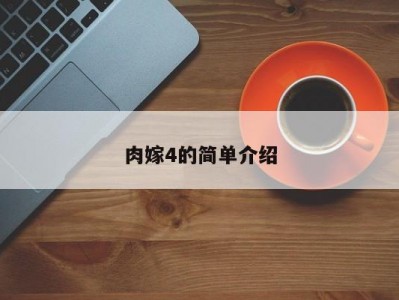 肉嫁4的简单介绍