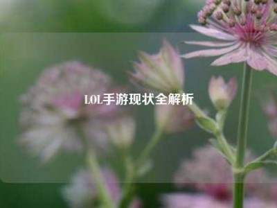 LOL手游现状全解析