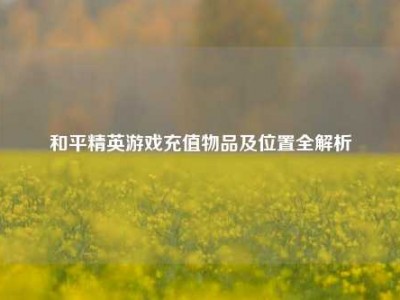 和平精英游戏充值物品及位置全解析