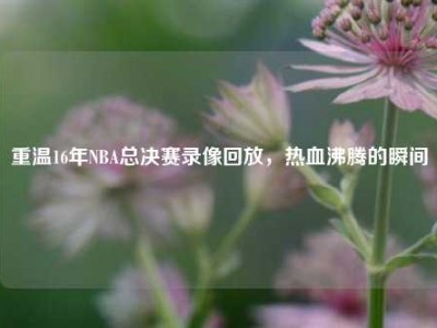 重温16年NBA总决赛录像回放，热血沸腾的瞬间