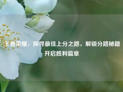王者荣耀，探寻最佳上分之路，解锁分路秘籍开启胜利篇章