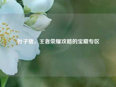 叶子猪，王者荣耀攻略的宝藏专区