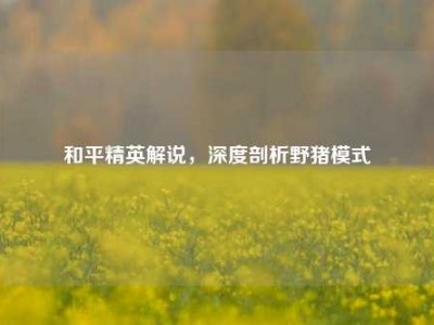 和平精英解说，深度剖析野猪模式