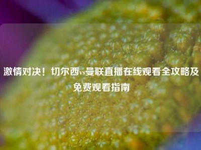激情对决！切尔西vs曼联直播在线观看全攻略及免费观看指南