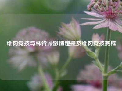 维冈竞技与林肯城激情碰撞及维冈竞技赛程