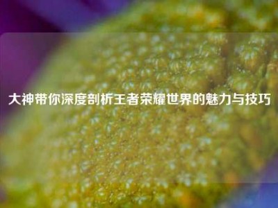 大神带你深度剖析王者荣耀世界的魅力与技巧