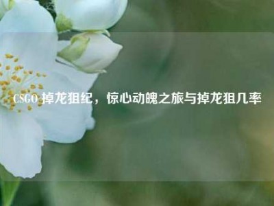 CSGO 掉龙狙纪，惊心动魄之旅与掉龙狙几率
