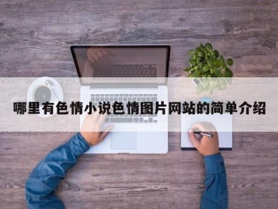 哪里有色情小说色情图片网站的简单介绍
